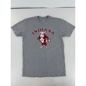 Indiana Hoosiers IU T Shirt Gray Vtg Style Sz M Mascot College NCAA Graphic Tee